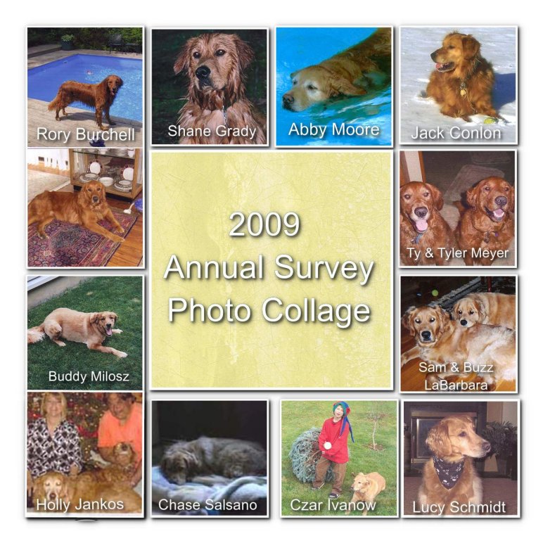 2009 Survey Collage