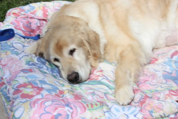Oakley