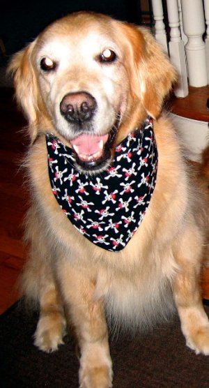 Abby Ulbrich