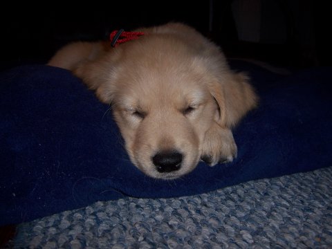 Tucker