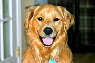Apollo
