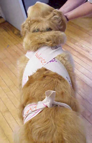 The TTouch Body Wrap
