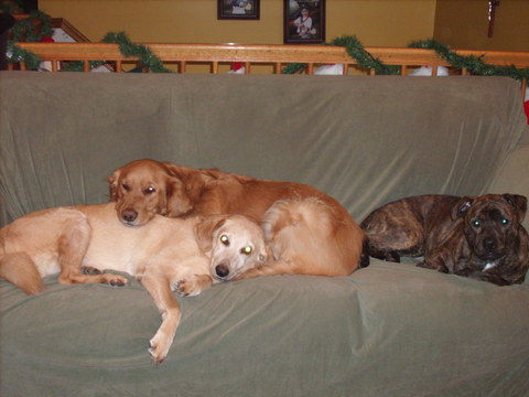 Boomer and Brothers
