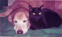 Bronwyn & Mariah