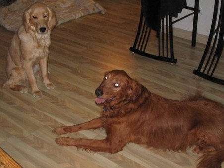Biddy Reiter & Sadie