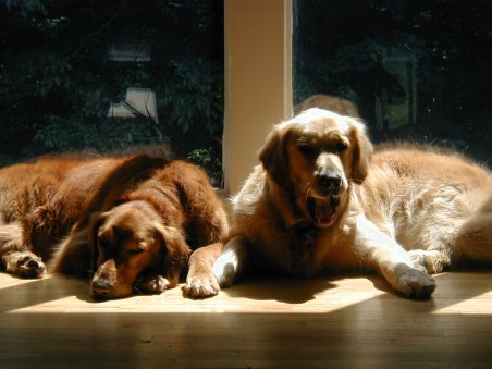Bess and Charlie Vinci