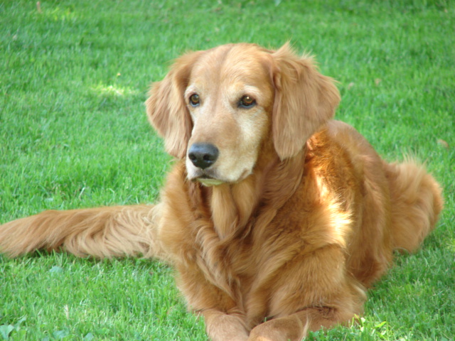 Colby Murray