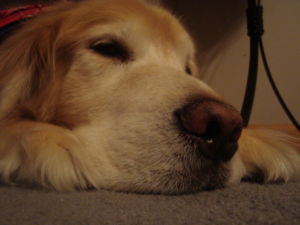 Cooper2