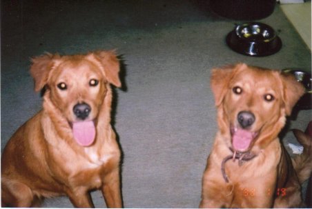 Daisy & Gigi