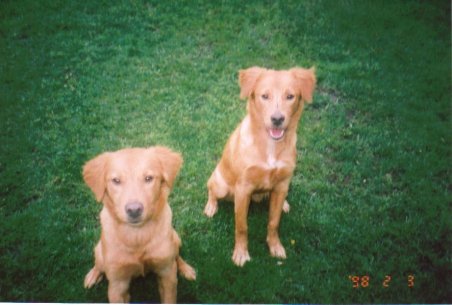 Daisy & Gigi