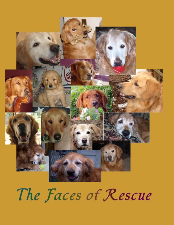 Faces of Rescue