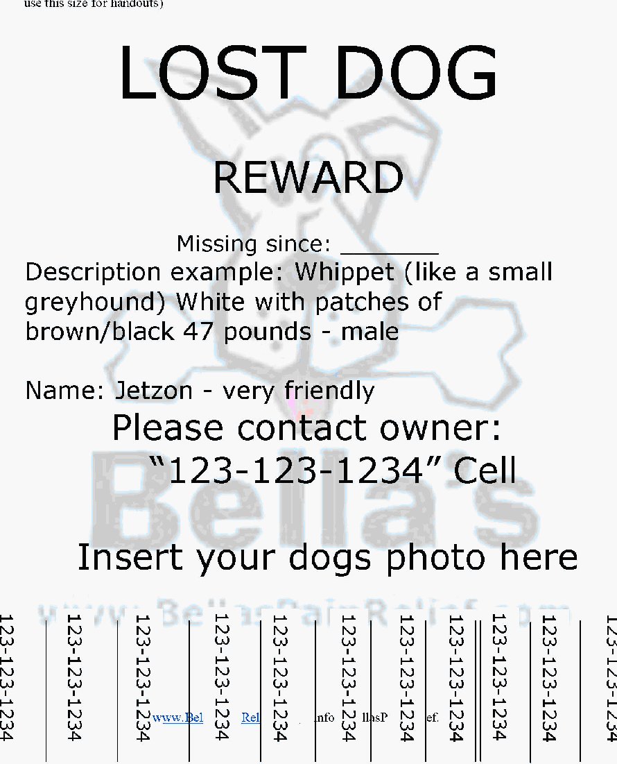 Flyer
