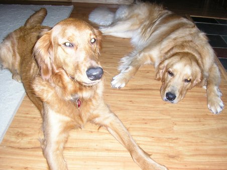 Germer Holiday Photo