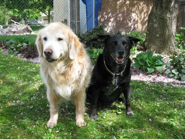 Jack and Daisy Lilien