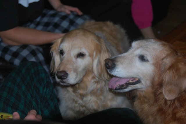 Lexi & Laci Garofalo