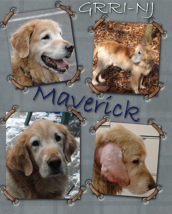 Maverick Collage
