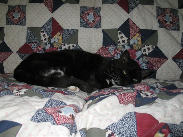 Millie Lilien
