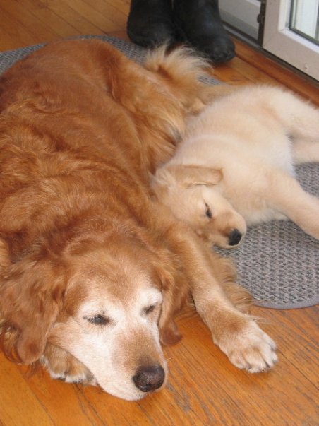 Molly & Maggie Ulbrich