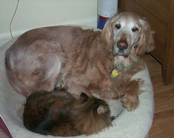 Monty & Sonya