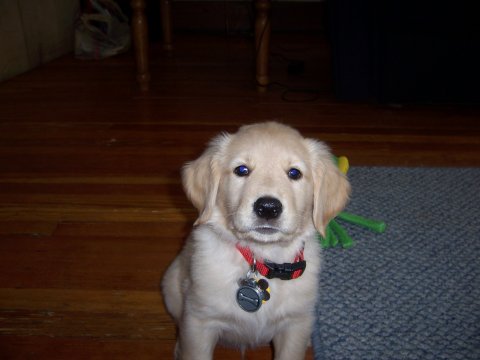 Tucker