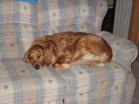 Roxy Ridge on Sofa