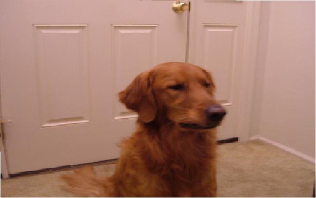 Rusty