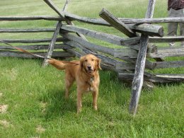 Shiloh McFadden