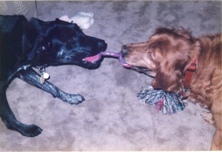Stan and Missy