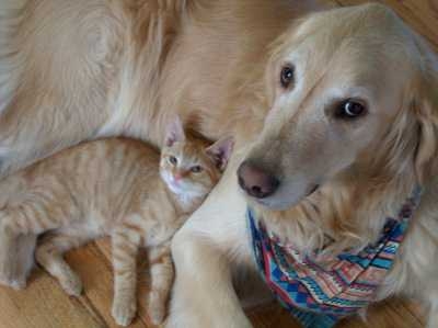 Huntley & Sunny Raicer