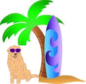 Surfing Golden