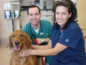 Susie, Dr. Z, and Jen