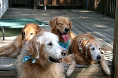 Tanner, Jenny, Dusty, & Kelly