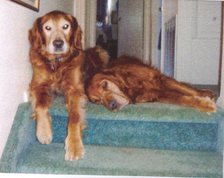 Toby & Tyler Meyer