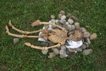 Bones