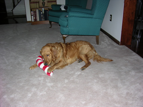 Woody